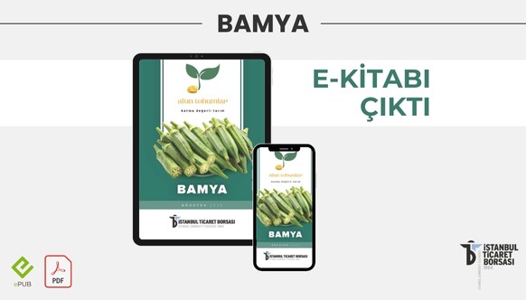“BAMYA” E-KİTABI YAYINLANDI